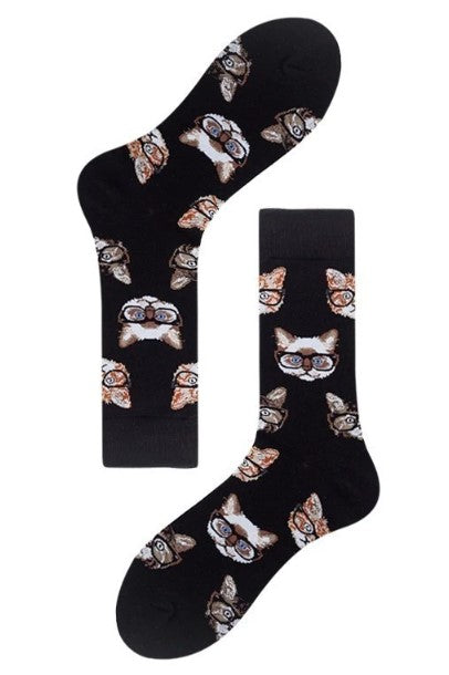 Cat socks laid flat on white background