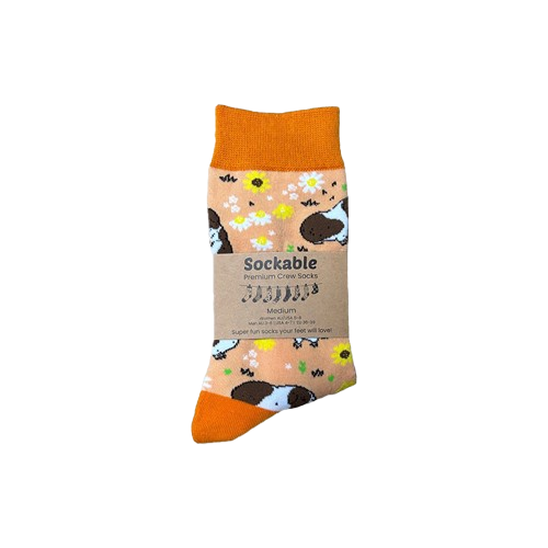 Orange guinea pig socks with recycled card label ready for gifting or fundraising