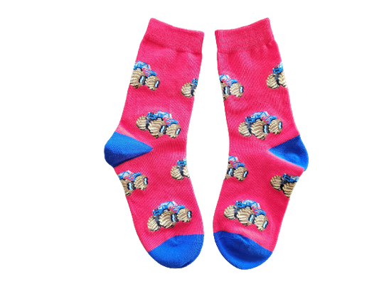 Red socks with monster trucks and blue toe and heel laid flat.