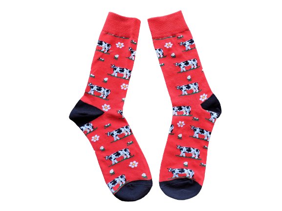 Red socks with jersey cow design laid flat