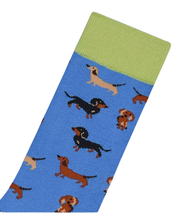 Dachshund Socks