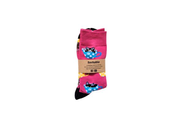 Where's Kitty in Pink Socks
